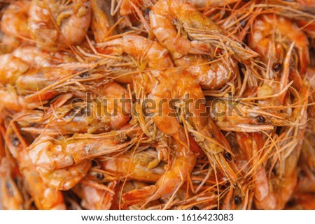 Large shrimp on a plate. Selective focus. Food.