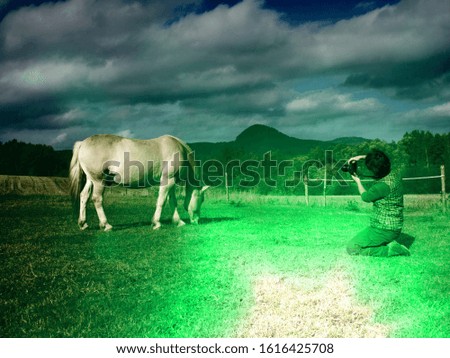 Woman artist while taking a photo of a horse side by side. Abstract filter.