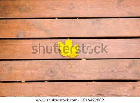 Yellow leaf lying on the wooden background. Autumn picture. Natural textures.