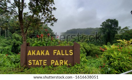 Akaka Falls state park Hawaii
