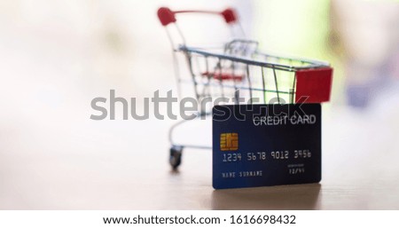 Business Shopping Creativity Concept. Shopping cart and Credit Card