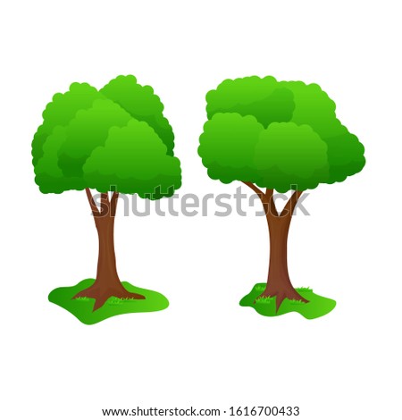 Two tree vector illustration with simple design isolated on white background 