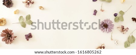 dried flowers and eucalyptus leaves pattern on white backdrop.Banner.Top view, flat lay. Copy space. Minimal floral card