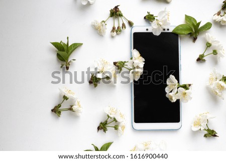 cherry blossom with phone. smartphone mockup with spring flowers