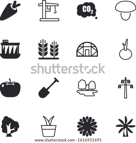 plant vector icon set such as: daisy, project, conservatory, metal, wheat, gas, day, pollutant, botanical, glass, dutch, growing, voltage, business, bread, handle, plants, resources, pots, hand