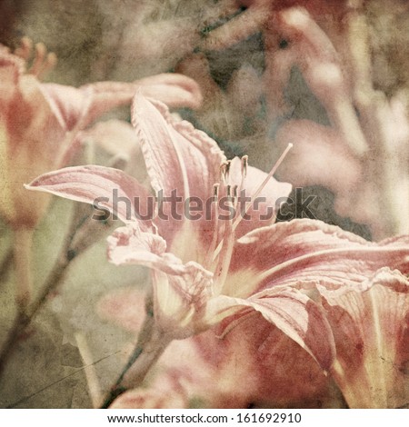 art floral vintage sepia background with light pink lilies