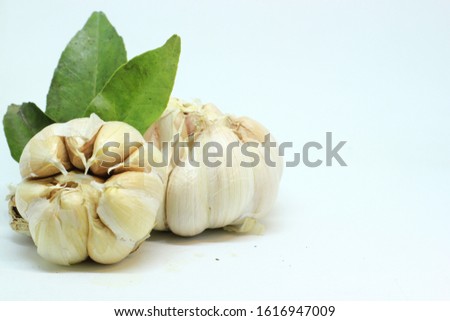 photo garlic on a white background separately. usually used as a spice in the kitchen in Indonesia, as a flavor enhancer. believed to also be a traditional herbal medicine ingredient with many uses