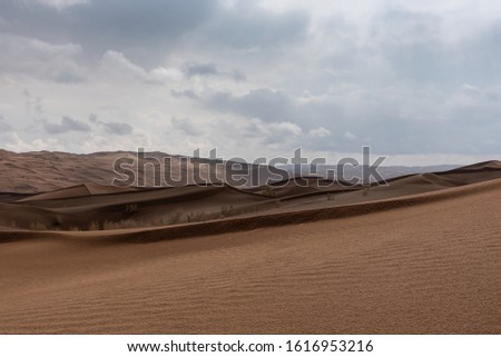 the formation of sand dunes in dasht e lut desert with tamarisk tree and waved sand textures in foreground and after rain cloudy sky in background 