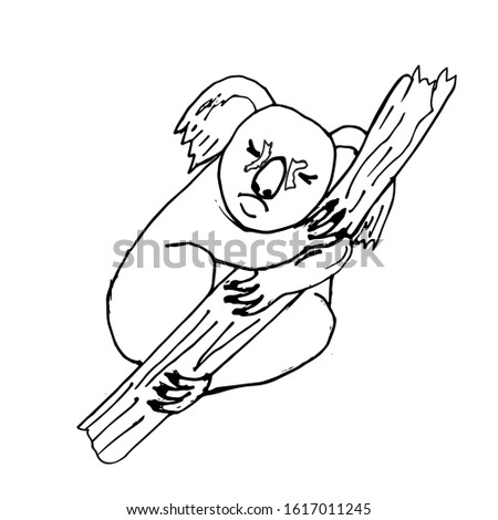 Sad koala sitting bear cub on a tree. Hand-drawn, line art. Design for print, news, postcards, fabrics. Vector stock illustration