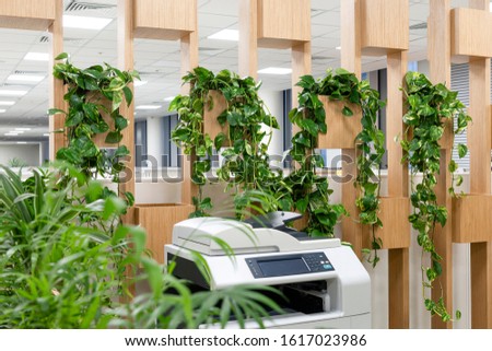 Office space interior with green plant corner for relaxing/ Greens in workspaces/ Winter garden in room/ Healthy lifestyle, tree lover and gardening concept Royalty-Free Stock Photo #1617023986