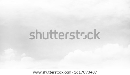 White background of blurred sky and clouds in soft grayscale.