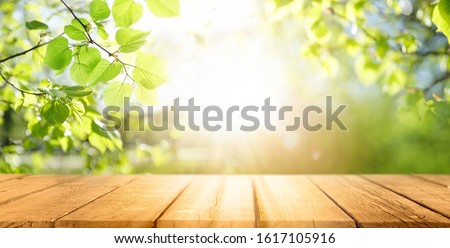 Spring beautiful background with green juicy young foliage and empty wooden table in nature outdoor. Natural template with Beauty bokeh and sunlight