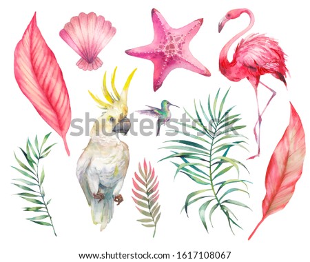 Watercolor tropical objects set. Clip art with palm leaves, parrot, flamingo, shell and sea star. Design elements isolated on white background