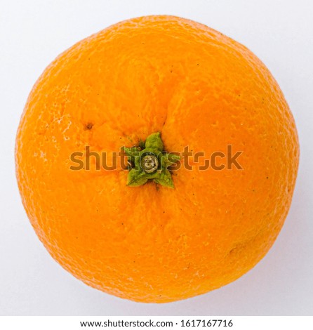 Orange fruits on white background Royalty-Free Stock Photo #1617167716