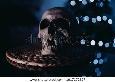 Human skull decoration with reflection