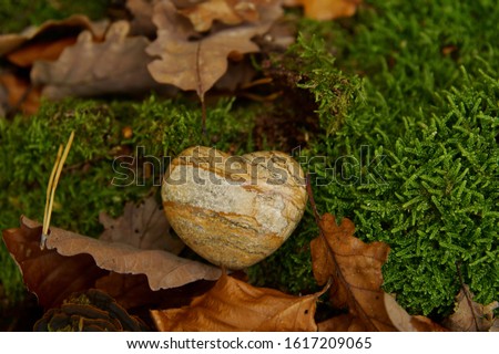 funeral Heart sympathy or stone funeral heart near a tree in autumn. Natural burial grave in the forest. Heart on grass or moss. tree burial and All Saints Day concept