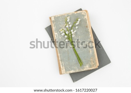 Bouquet of Lily of the valley flowers on two old books on a white background