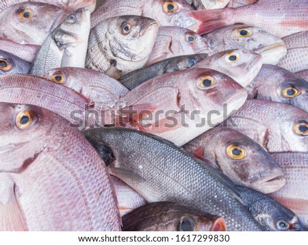 Choice Fresh fishes in a market - food seafood - ready to cook grill