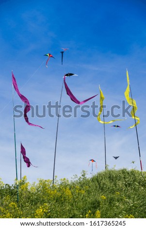 kite and flags on blue sky background