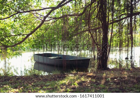Picture of a boat on the river and with banyan trees