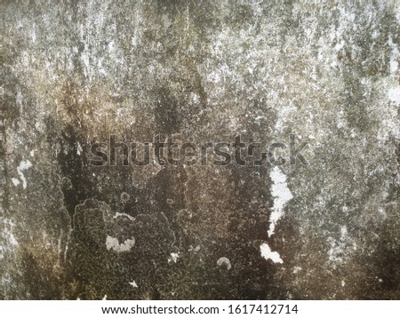 Old white plaster walls Dirty and moldy Close up background