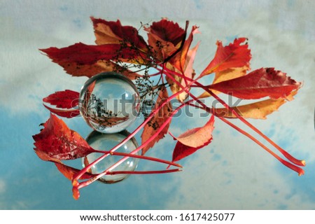 Lensball surrounded by red leaves. Fall foliage reflections on mirror surface along with glass ball.