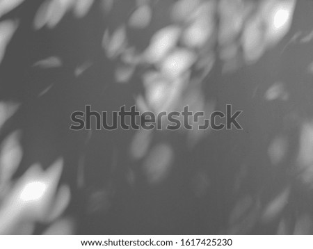 Light and shadow on wall concrete abstract background.Blurred black and white cement wall.