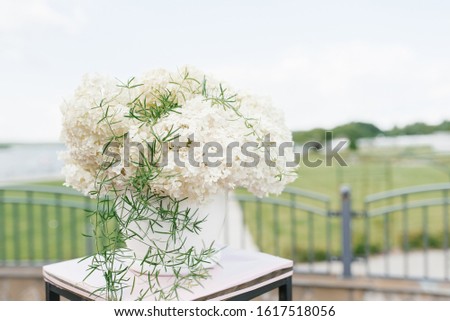 Composition of white hydrangeas in the wedding decor of the exit ceremony of marriage registration