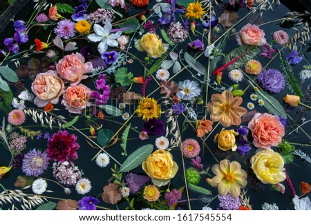 Flowers  on the water, flowers landscape, top view Royalty-Free Stock Photo #1617545554