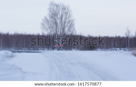 Crossroads in winter in the snow on a country highway in a birch forest