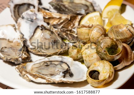 Oyster snails and slices of juicy lemon on a white plate in a Chinese restaurant.