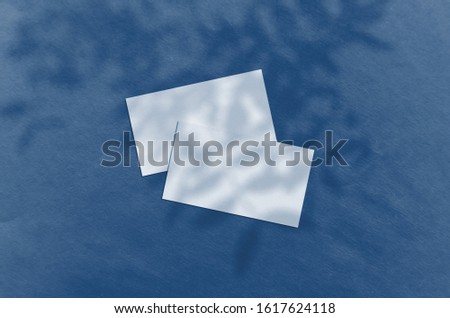 Business card Mockup. Natural overlay lighting shadows the leaves. Business cards 3.5x2 inch. Scene of Leaf Shadows. Classic Blue color. Color of the year 2020.