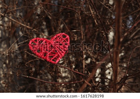 Red heart between the branches.