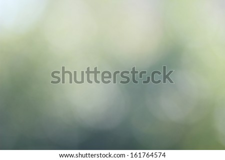 natural green bokeh background