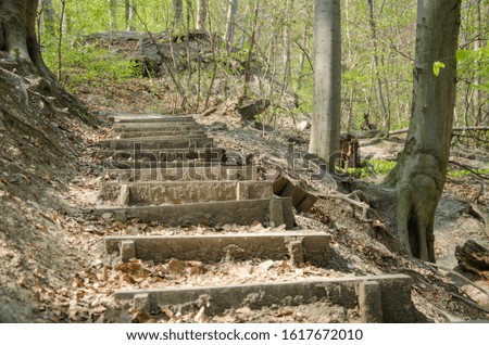 Wooden staircase in the forest on a hiking trail.