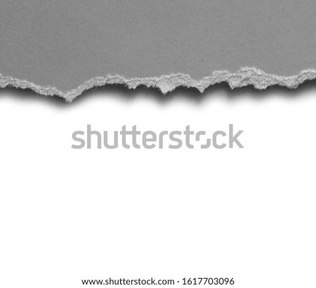 old ripped paper isolated on white background with copy space for text