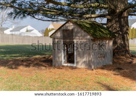 A dog house in a backyard Royalty-Free Stock Photo #1617719893