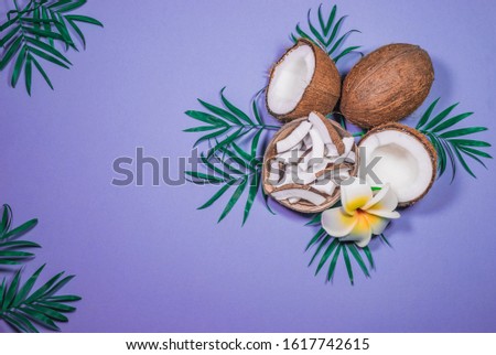 Coconut with green palm leaves and  white flowers  on a lilac background. Full frame.