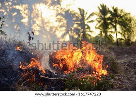 Flames are burning hay in the dry fields at dusk. One factor of global warming and dust. PM.5 in Thailand
