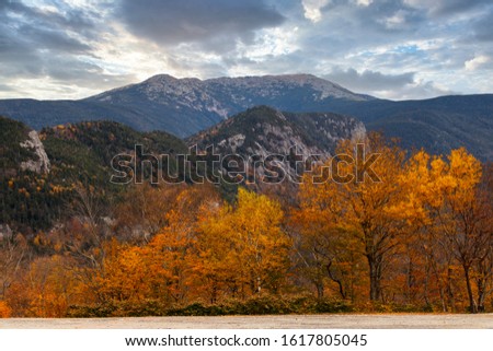 White Mountain National Forest in the Fall