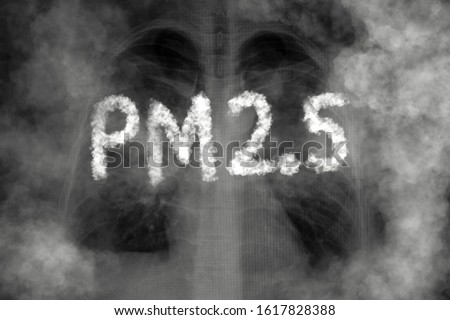 Lung disease from PM2.5 pollution  Royalty-Free Stock Photo #1617828388