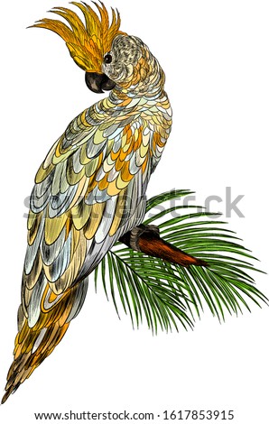 cockatoo parrot with palm leaves