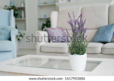 White vase with lavender flowers in the interior decor of the living room in light colors with blue color Royalty-Free Stock Photo #1617903886