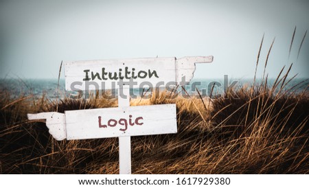 Street Sign the Direction Way to Intuition versus Logic Royalty-Free Stock Photo #1617929380