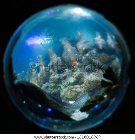 blue Circular Fishbowl in a aquarium  