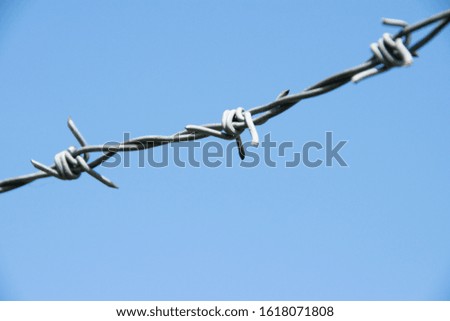 Barbed wire. Barbed wire on fence.