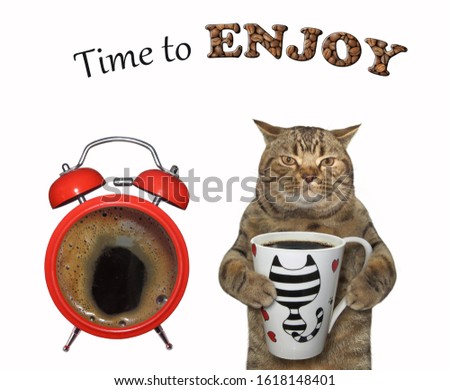 The beige cat with a cup of black coffee is standing near a big red alarm clock. Time to enjoy. White background. Isolated.