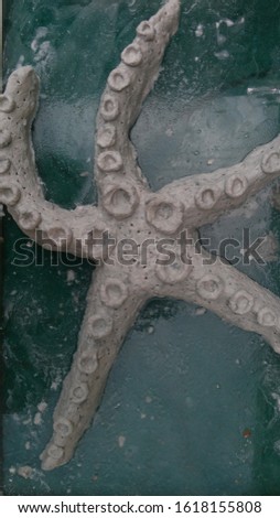 
Papier mache starfish on glass. Creation