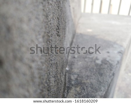 the closeup of cement wall with some sunlight