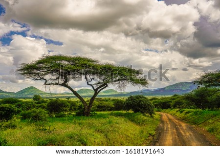 Landscape pictures from the National Park Tsavo East Tsavo West and Amboseli